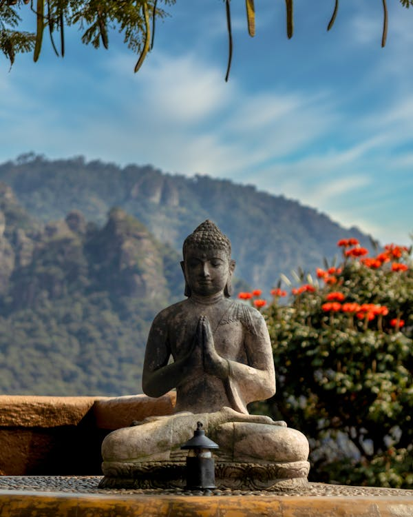 Unlocking the Power of Meditation: A Complete Beginner's Guide 2024