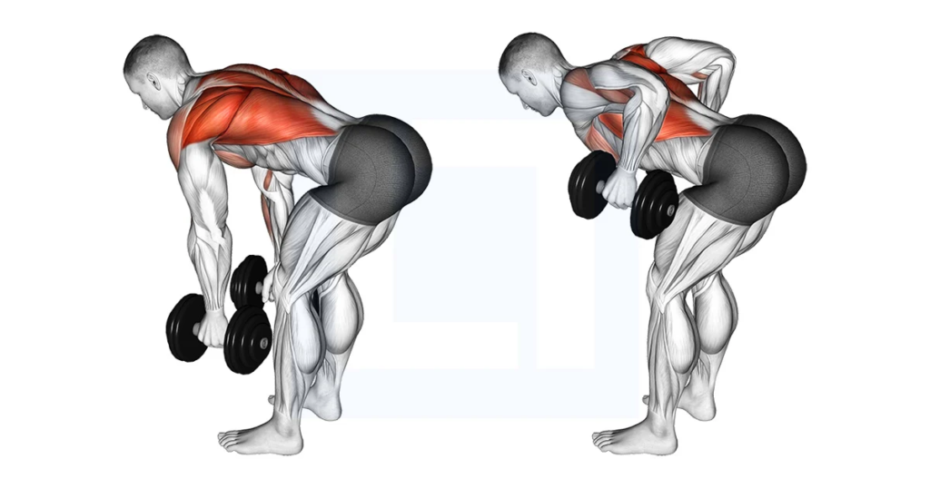 10 Best Back Exercises with Dumbbells You Can Do at Home: Build Strength & Definition 2024