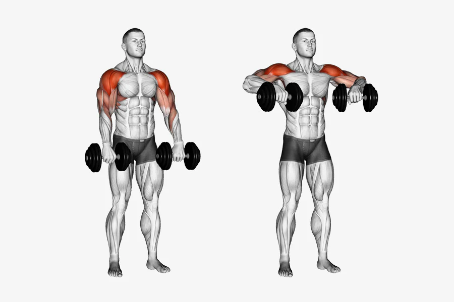 10 Best Back Exercises with Dumbbells You Can Do at Home: Build Strength & Definition 2024