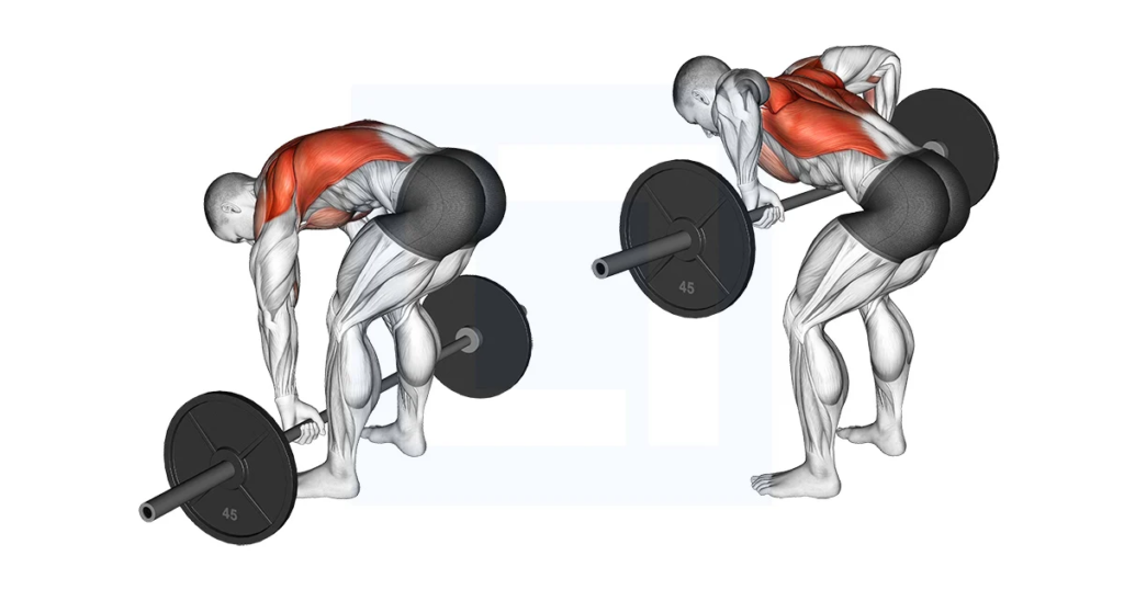 10 Best Barbell Back Exercises You Can Do at Home: From Beginner to Advanced 2024