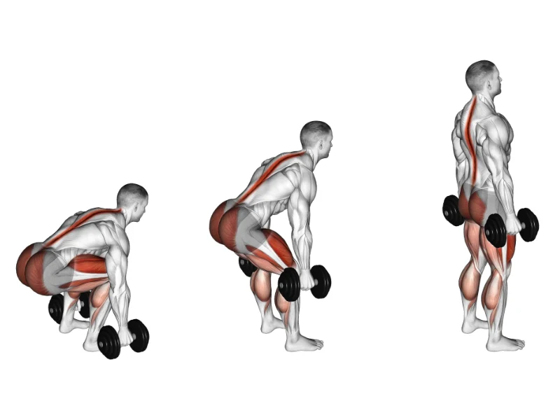 10 Best Back Exercises with Dumbbells You Can Do at Home: Build Strength & Definition 2024