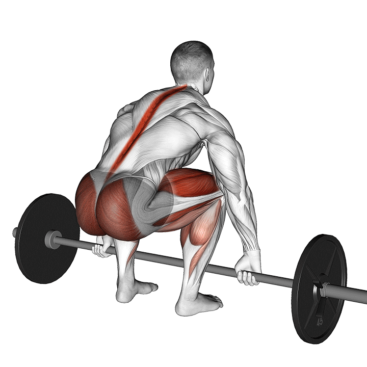 10 Best Barbell Back Exercises You Can Do at Home: From Beginner to Advanced 2024