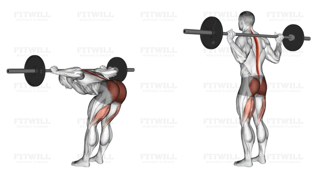 10 Best Barbell Back Exercises You Can Do at Home: From Beginner to Advanced 2024