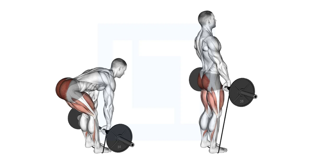 10 Best Barbell Back Exercises You Can Do at Home: From Beginner to Advanced 2024