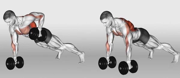 10 Best Back Exercises with Dumbbells You Can Do at Home: Build Strength & Definition 2024