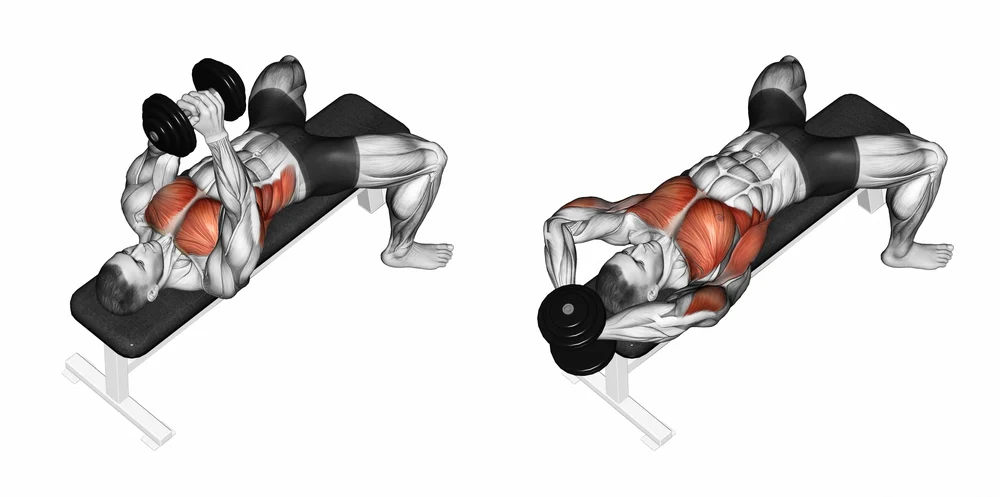 10 Best Back Exercises with Dumbbells You Can Do at Home: Build Strength & Definition 2024