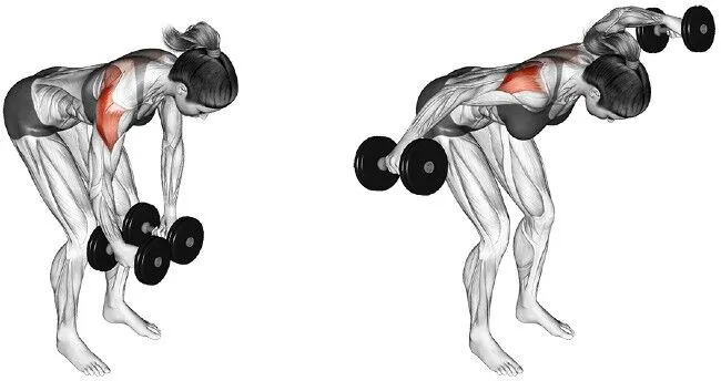 10 Best Back Exercises with Dumbbells You Can Do at Home: Build Strength & Definition 2024