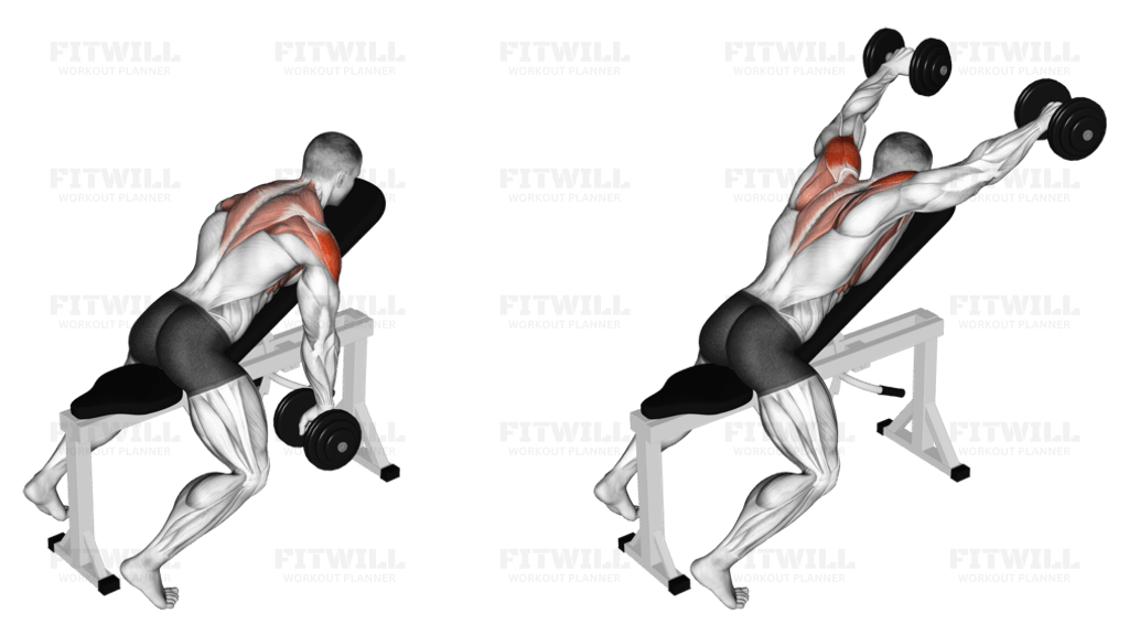 10 Best Back Exercises with Dumbbells You Can Do at Home: Build Strength & Definition 2024