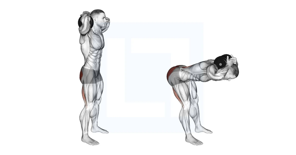 10 Best Back Exercises with Dumbbells You Can Do at Home: Build Strength & Definition 2024